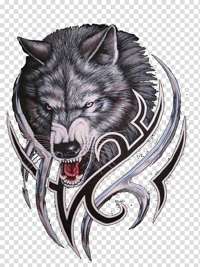 Gray Wolf PNG Transparent Images Free Download