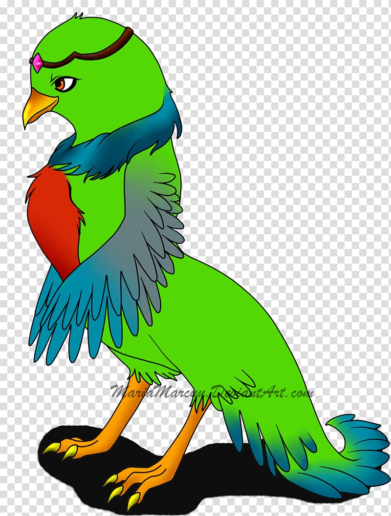 Macaw Illustration Parakeet Beak, diabolo transparent background PNG clipart
