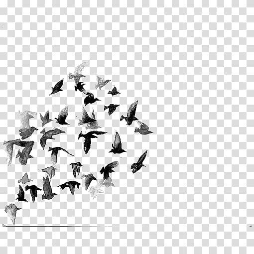 flying flock of birds illustration, Paper Towns Coldplay Lyrics, Ink crow transparent background PNG clipart