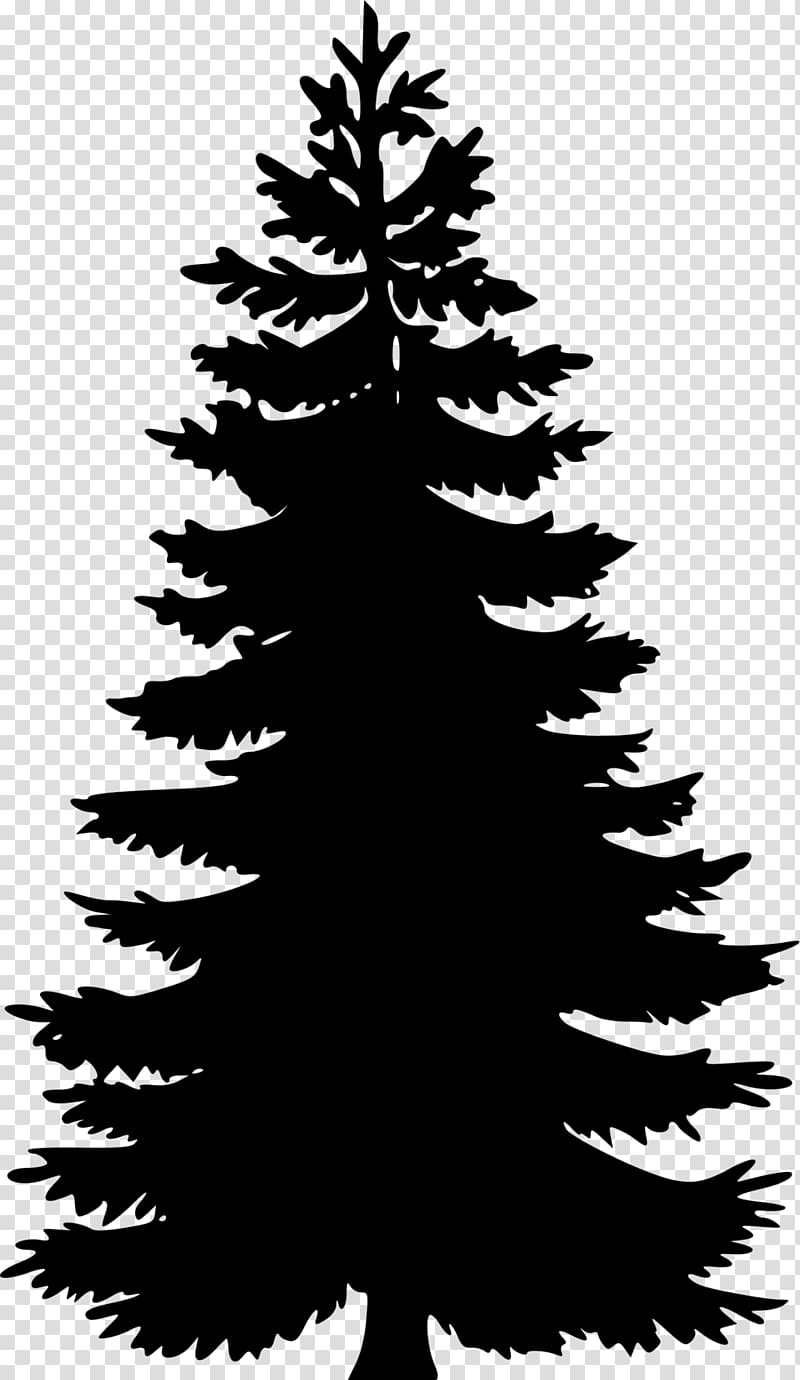 Eastern white pine Tree , tree transparent background PNG clipart