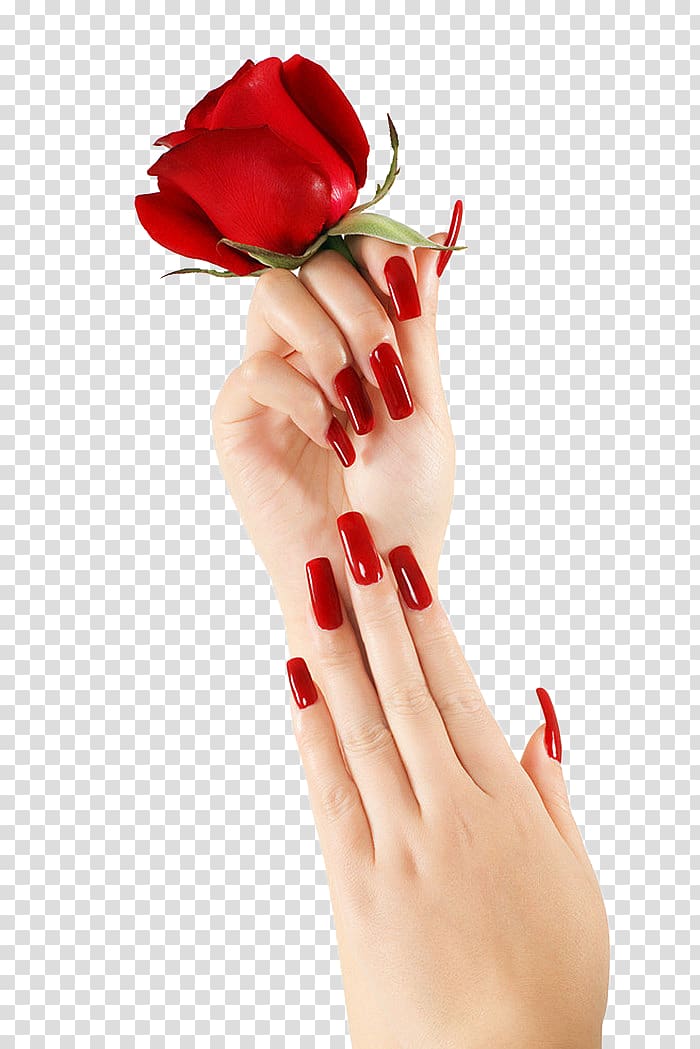 woman with red nail polish holding red rose illustration, Light Towel Ultraviolet Beauty Parlour Nail, Flower gesture transparent background PNG clipart