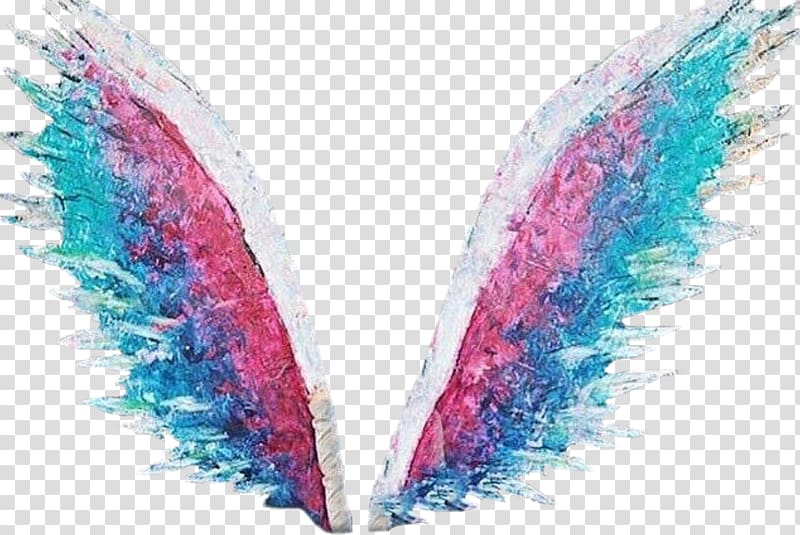 teal and pink wing sketch art, PicsArt Studio, angel wings transparent background PNG clipart