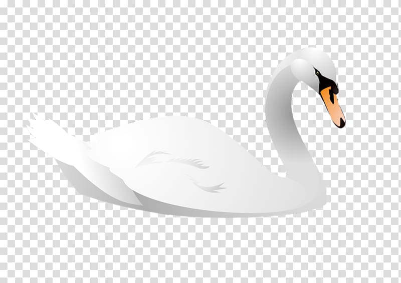 Cygnini Bird Cartoon Animal Illustration, Cartoon swan transparent