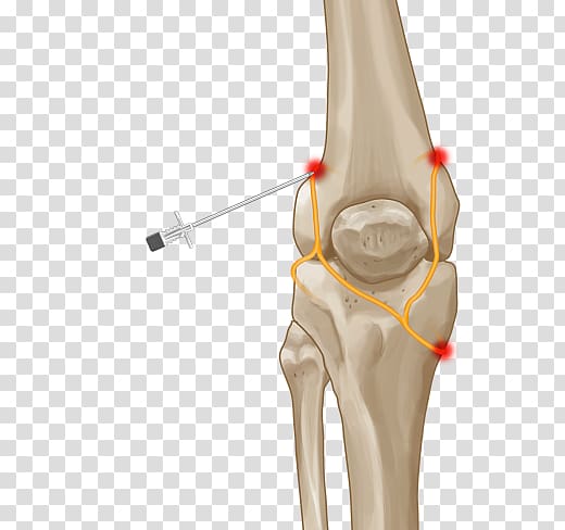 Thumb Knee pain Joint Nerve, muscle Pain transparent background PNG clipart