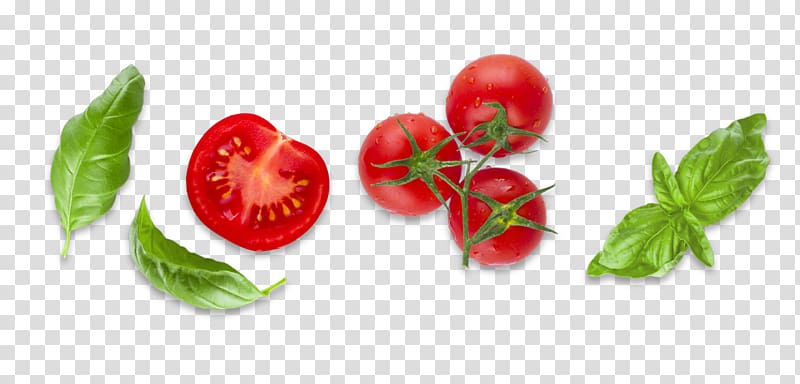 Bush tomato Diet food Basil, tomato transparent background PNG clipart