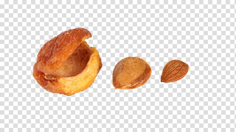 Vetkoek Nut Flavor, Apricot effect element transparent background PNG clipart