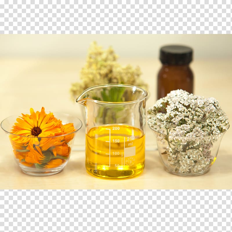 Aromatherapy Essential oil Common cold Carrier oil, oil transparent background PNG clipart