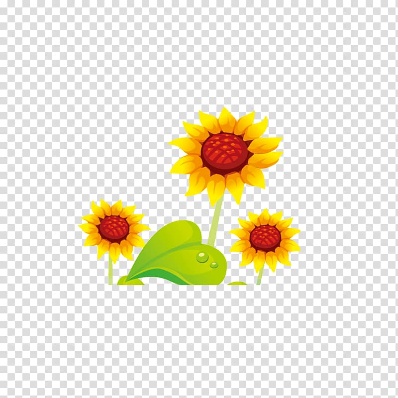 Common sunflower Cartoon, Cute cartoon sunflower flowers transparent background PNG clipart