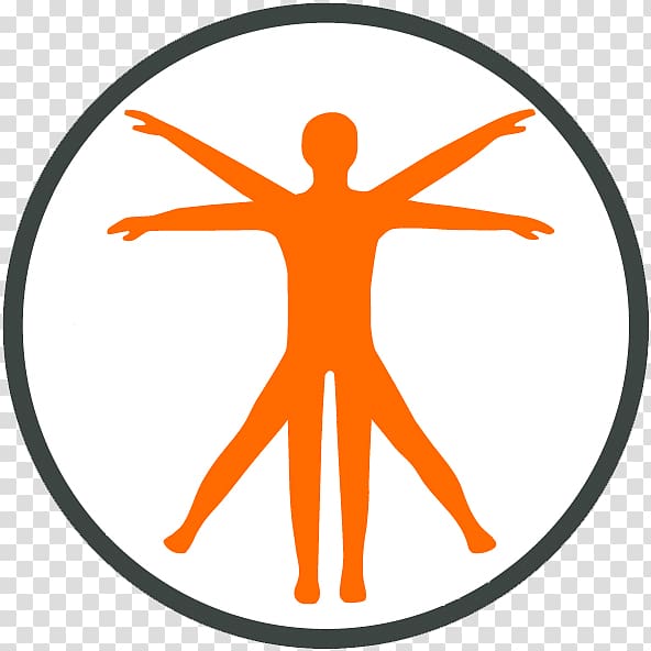 Vitruvian Man Physiology Human body Anatomy, tyerapy transparent background PNG clipart