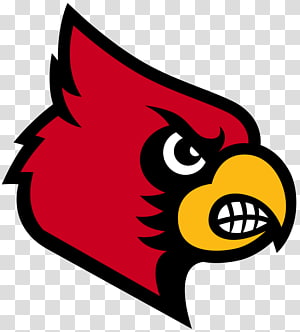 Az Cardinals Coloring Pages Arizona Football St Louis - University Of  Louisville Basketball Logo - Free Transparent PNG Clipart Images Download