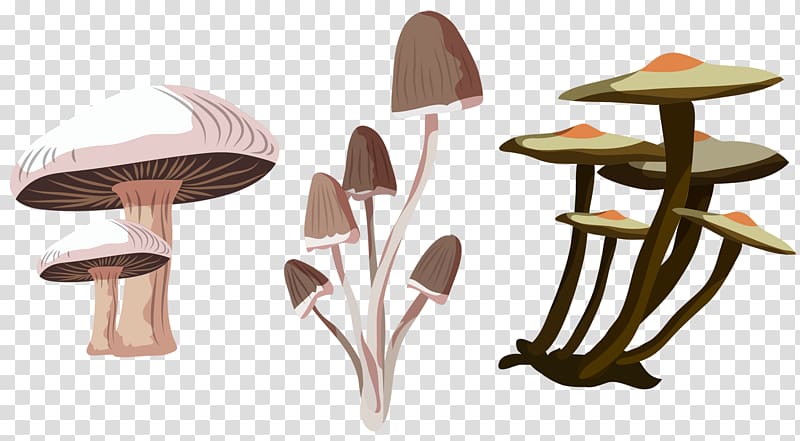 Fungus Euclidean Mushroom Icon, Mushroom transparent background PNG clipart