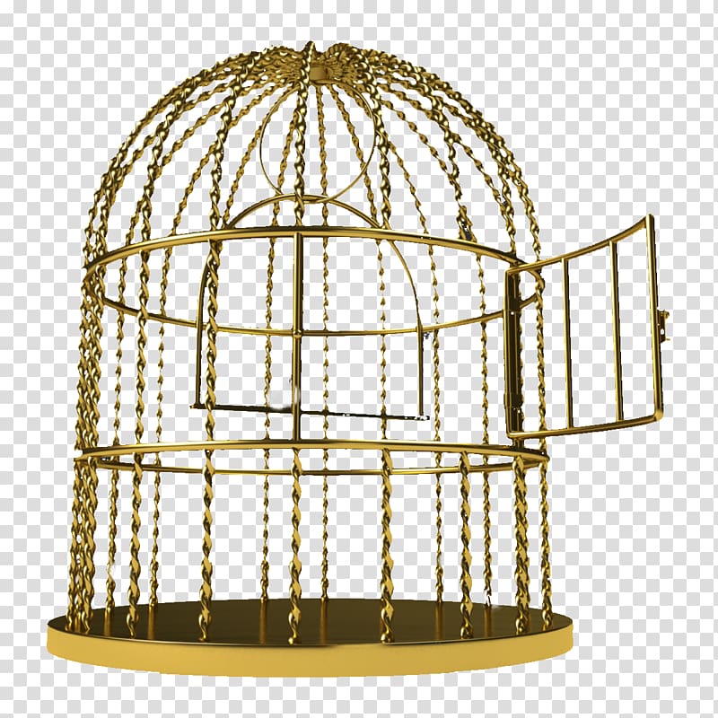 Birdcage Birdcage, Golden pattern iron cage transparent background PNG clipart