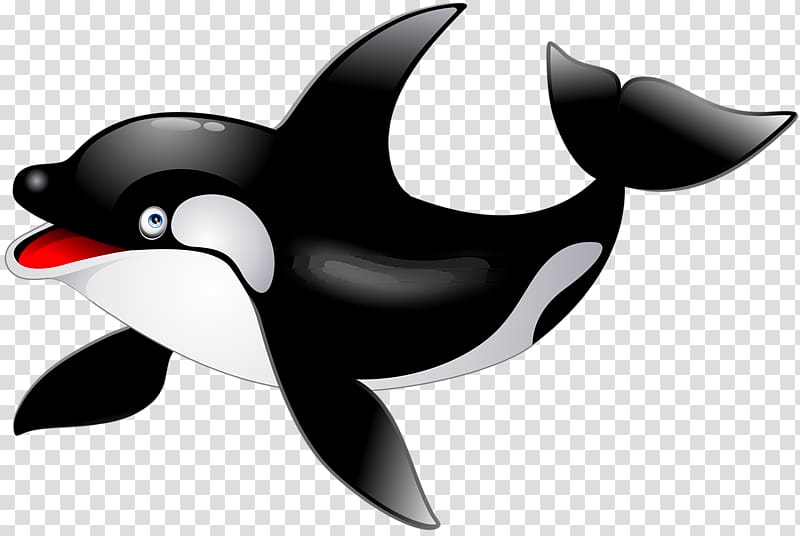 Killer whale Dolphin , Cute dolphin transparent background PNG clipart