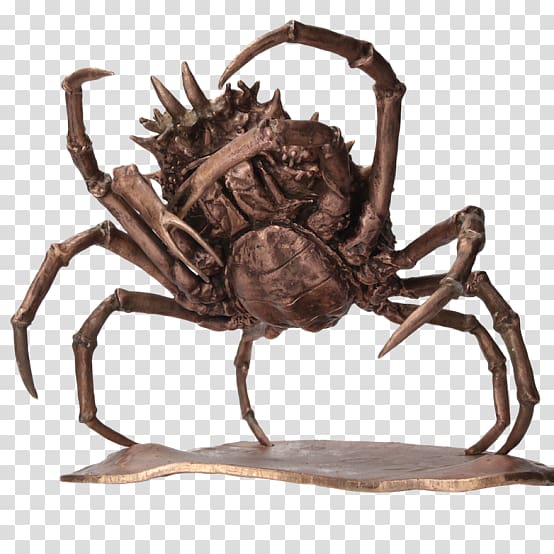 European spider crab Amantea Decapoda Sculpture, crab transparent background PNG clipart