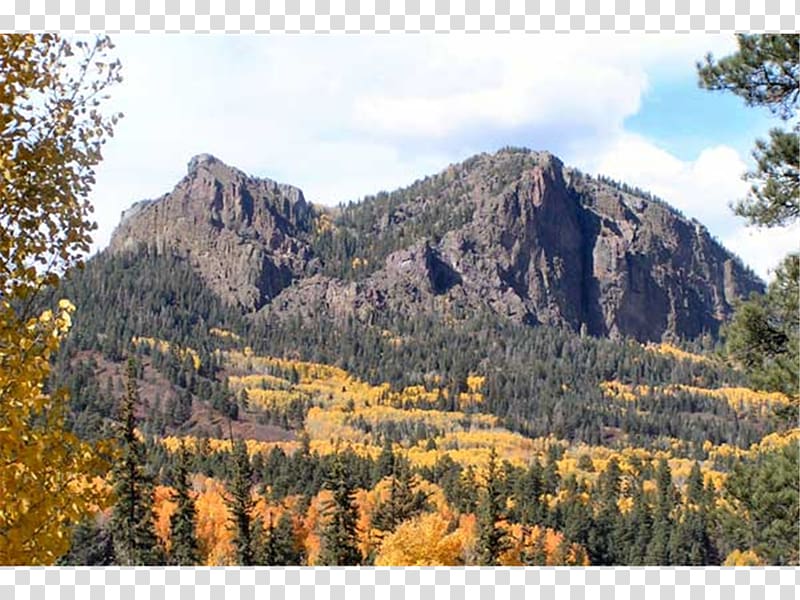 Tropical and subtropical coniferous forests Geology Cliff National park Mountain, Pagosa Springs transparent background PNG clipart