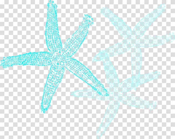 Starfish Blue Sand dollar , starfish transparent background PNG clipart