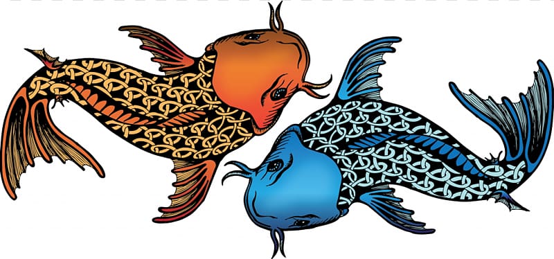 Koi Idaho Falls Cartoonist Illustration, Fish Illustrations transparent background PNG clipart