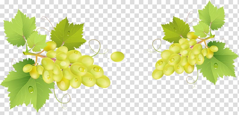 Grappa Common Grape Vine Barrel, Bunch of grapes transparent background PNG clipart