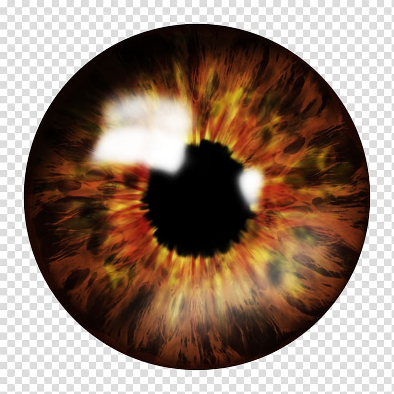 Eye Computer Icons , eyes transparent background PNG clipart