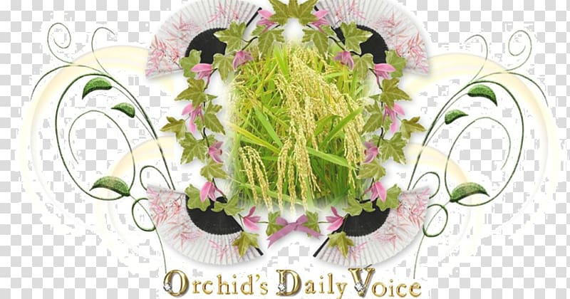 Floral design Cut flowers Flower bouquet, ear of rice transparent background PNG clipart