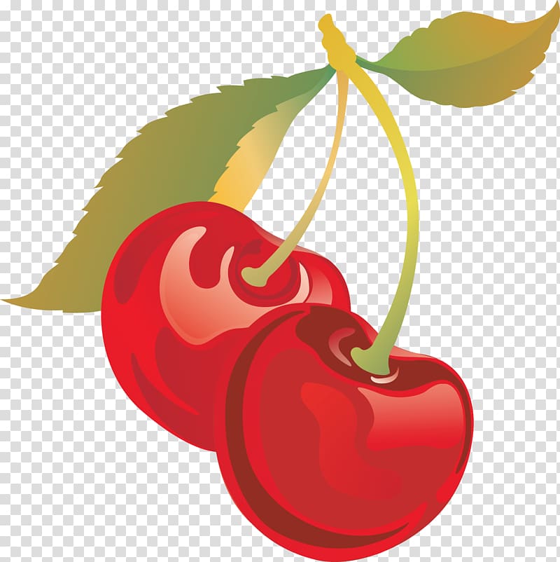 Sweet Cherry Drawing , cherry transparent background PNG clipart