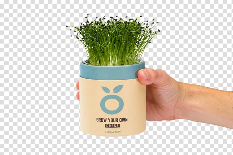 Buzzy Kweekset Spruitgroente Sprouting Beer Flowerpot Product, Hands cupped transparent background PNG clipart