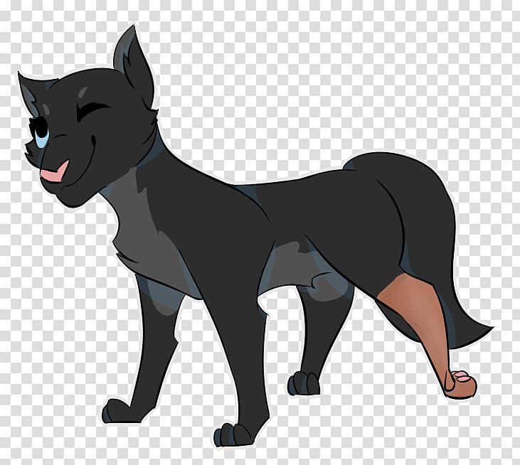 Whiskers Dog breed Cat Puma, Cat transparent background PNG clipart