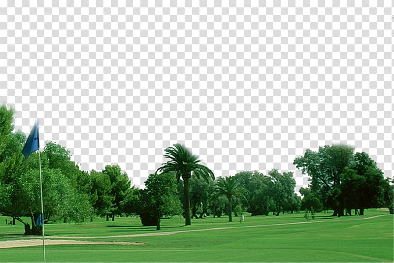 Hokkaido We Dream Group Golf course INES Corporation, Park plants landscape grass and trees transparent background PNG clipart