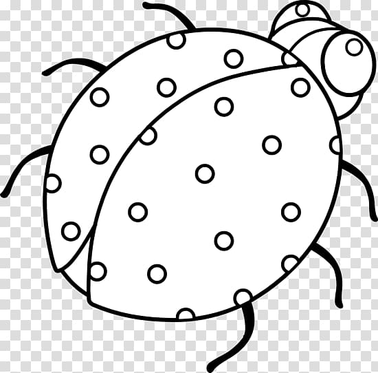 Ladybird Drawing Beetle , Cute Ladybug transparent background PNG clipart