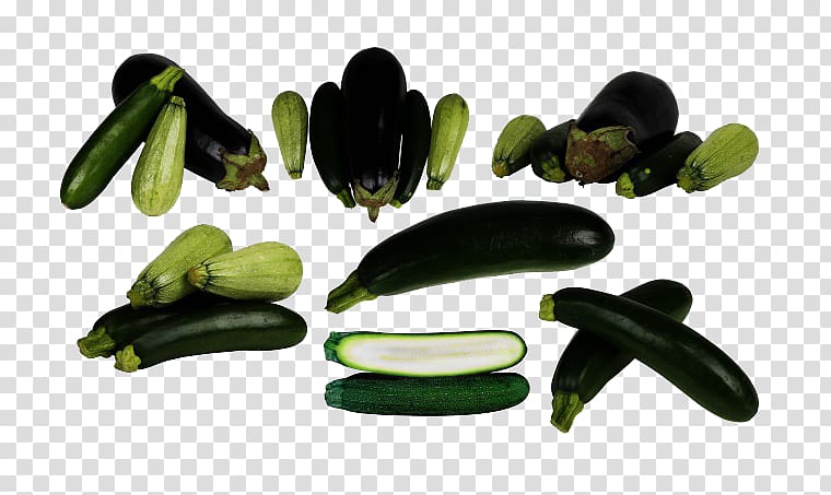 Cucumber Stuffing Eggplant , Squash and eggplant transparent background PNG clipart