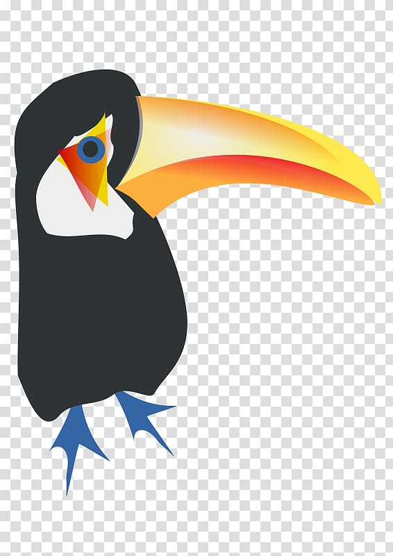 Toco toucan Bird , toucan transparent background PNG clipart