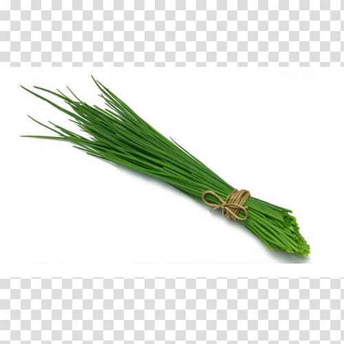 Chives Herb Onion Basil Scallion, toga transparent background PNG clipart