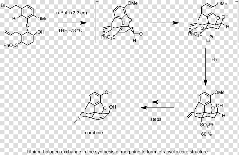 Organolithium reagent Total synthesis of morphine and related alkaloids Chemical synthesis Wikipedia Reactivity, others transparent background PNG clipart