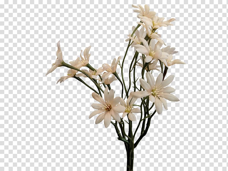 Sea aster Cut flowers Artificial flower Plant stem, flower transparent background PNG clipart