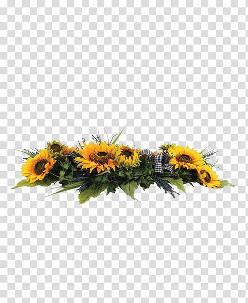 Common sunflower Connells Maple Lee Flowers & Gifts Plant Rose, flower transparent background PNG clipart