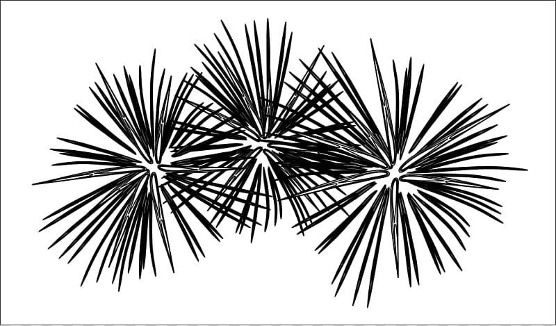Fireworks Black and white , Fireworks Black transparent background PNG clipart