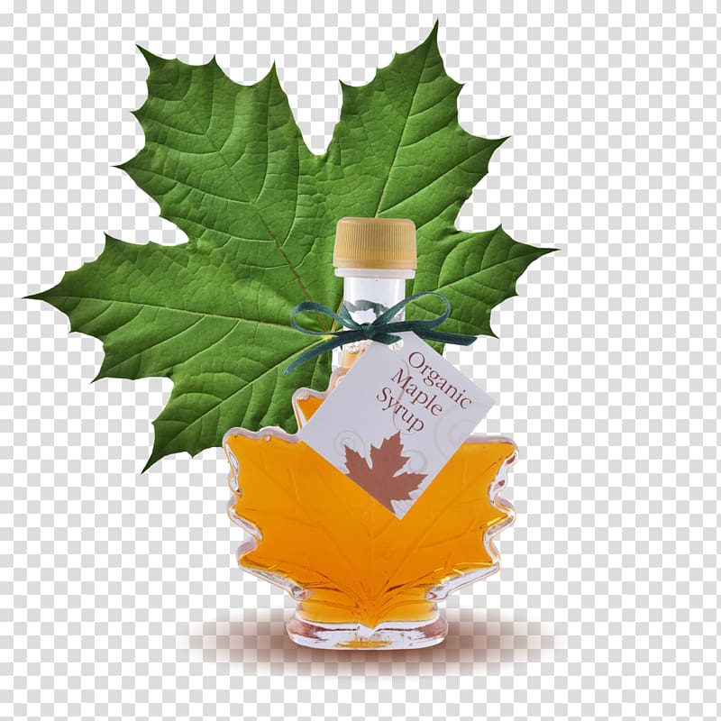 Maple syrup Lemonade Sugar substitute, maple leaf transparent background PNG clipart