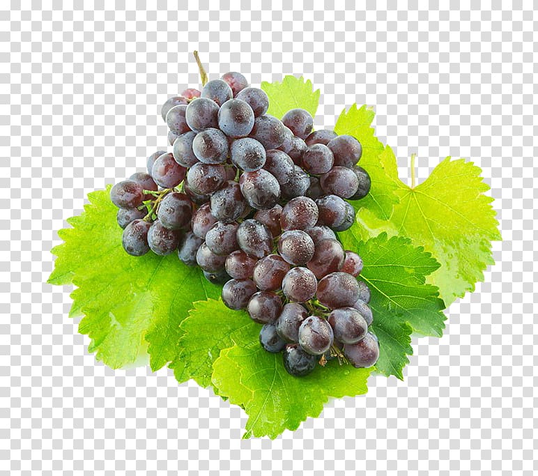 Sultana Juice Grape Zante currant, a bunch of grapes transparent background PNG clipart
