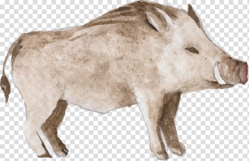 Animal Watercolor painting, Gray boar transparent background PNG clipart