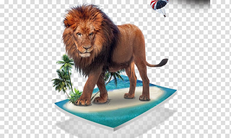 Lion , lion transparent background PNG clipart