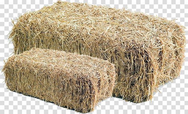 Live feeds and feeding Hay Straw Paperback Commodity, palha transparent background PNG clipart