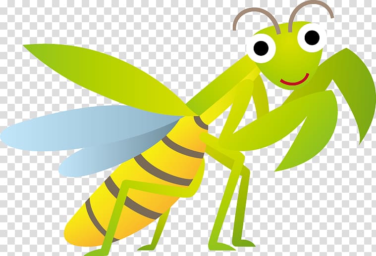 Insect Mantis , insect transparent background PNG clipart