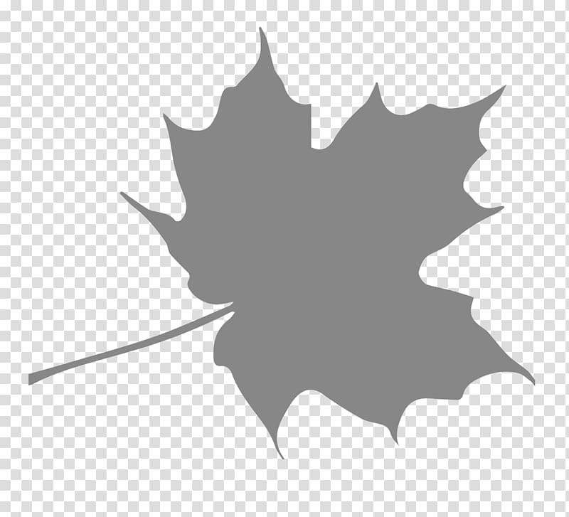 Autumn leaf color Maple leaf, leaf pattern shading transparent background PNG clipart