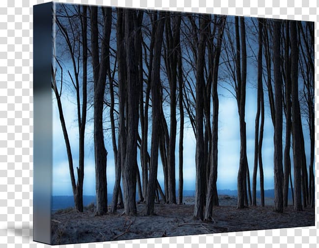 Gallery wrap Frames Modern art Canvas, wood transparent background PNG clipart