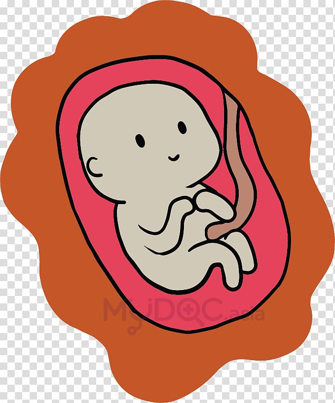 Caesarean section Surgery Childbirth Fetus, pregnancy transparent background PNG clipart