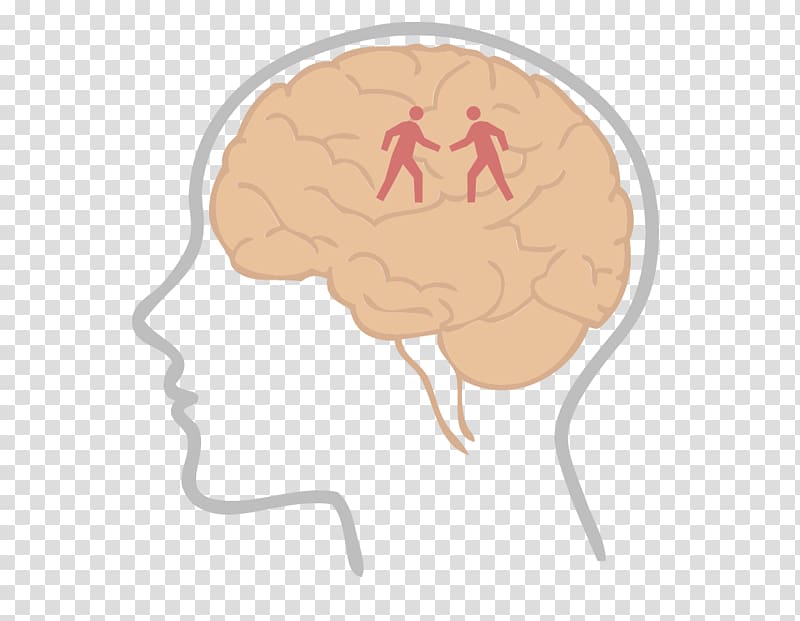 Brain Insight Neurochemistry Learning Thumb, Physical Activity transparent background PNG clipart