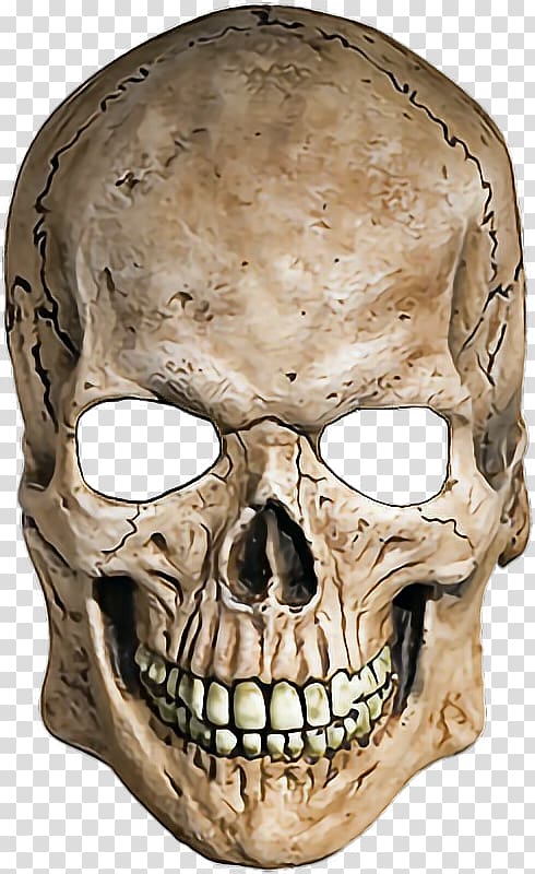 Skull Human skeleton, skull transparent background PNG clipart