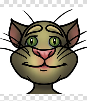 Whiskers Cat Snout , Cat transparent background PNG clipart thumbnail