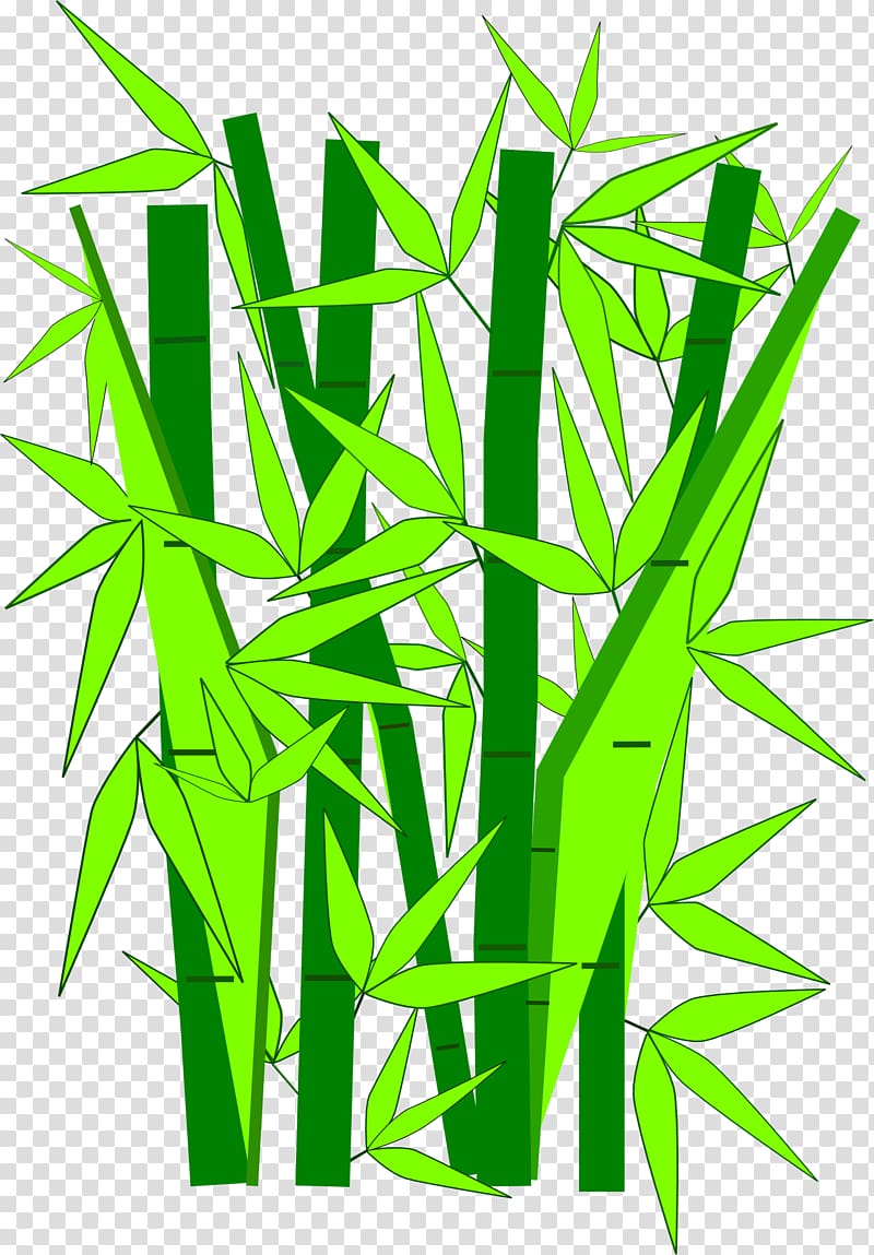 Giant panda Bamboo , Green Bamboo transparent background PNG clipart
