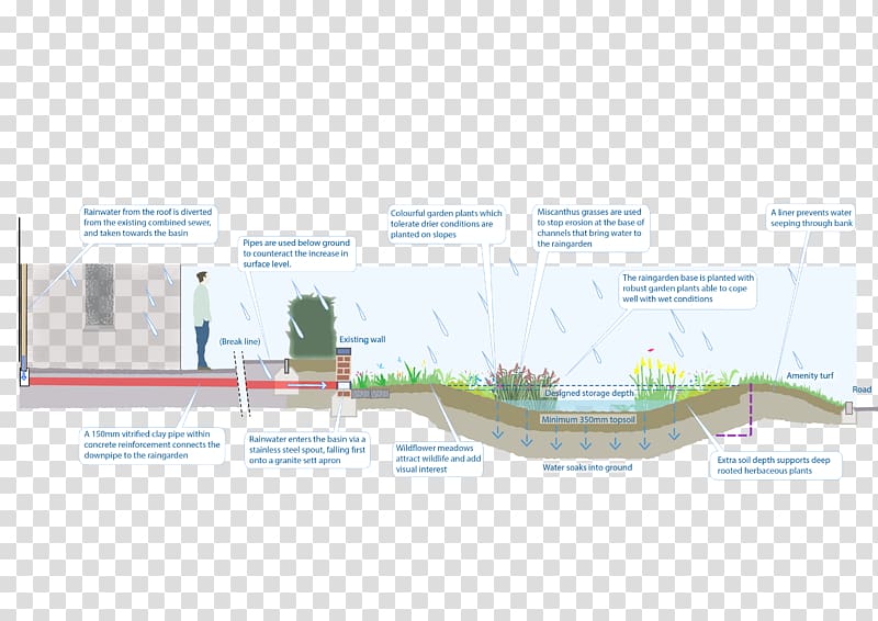 Sustainable Drainage System Rain Garden Rain Transparent